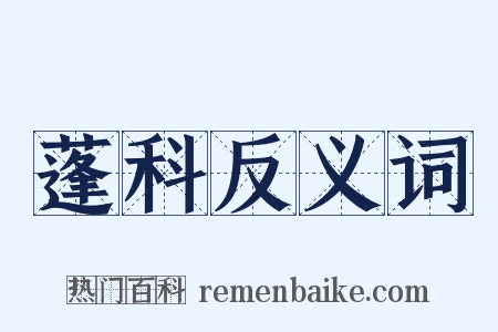 蓬科反义词是什么意思的图片